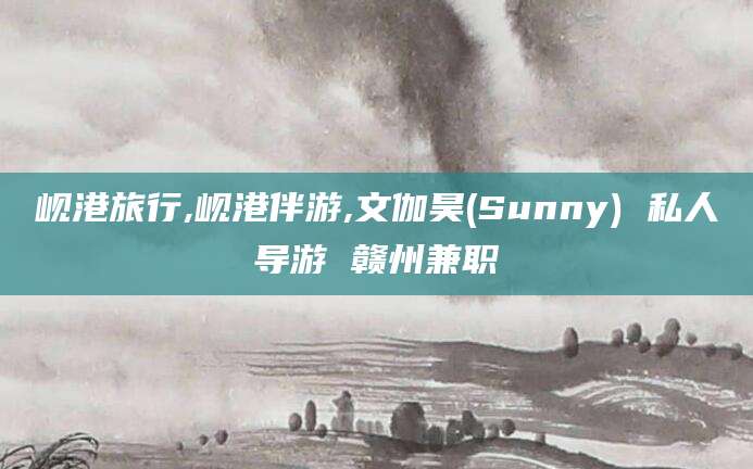 邹平岘港旅行,岘港伴游,文伽昊(Sunny) 私人导游 赣州兼职