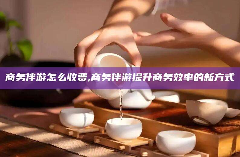 邹平商务伴游怎么收费,商务伴游提升商务效率的新方式